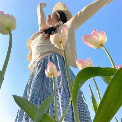风流世家