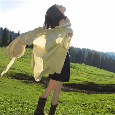 龙非龙凤非凤
